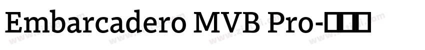 Embarcadero MVB Pro字体转换